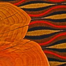Growth Rings.